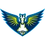 Dallas Wings