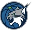 Minnesota Lynx